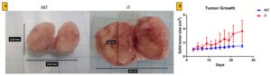 Growth of solid breast cancer mass after ECCT exposure treatment.