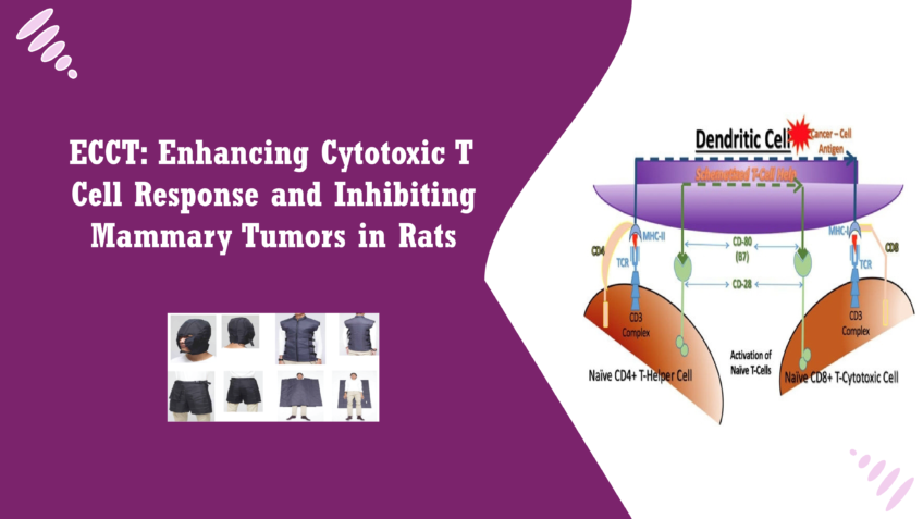 T Cell response in Rats